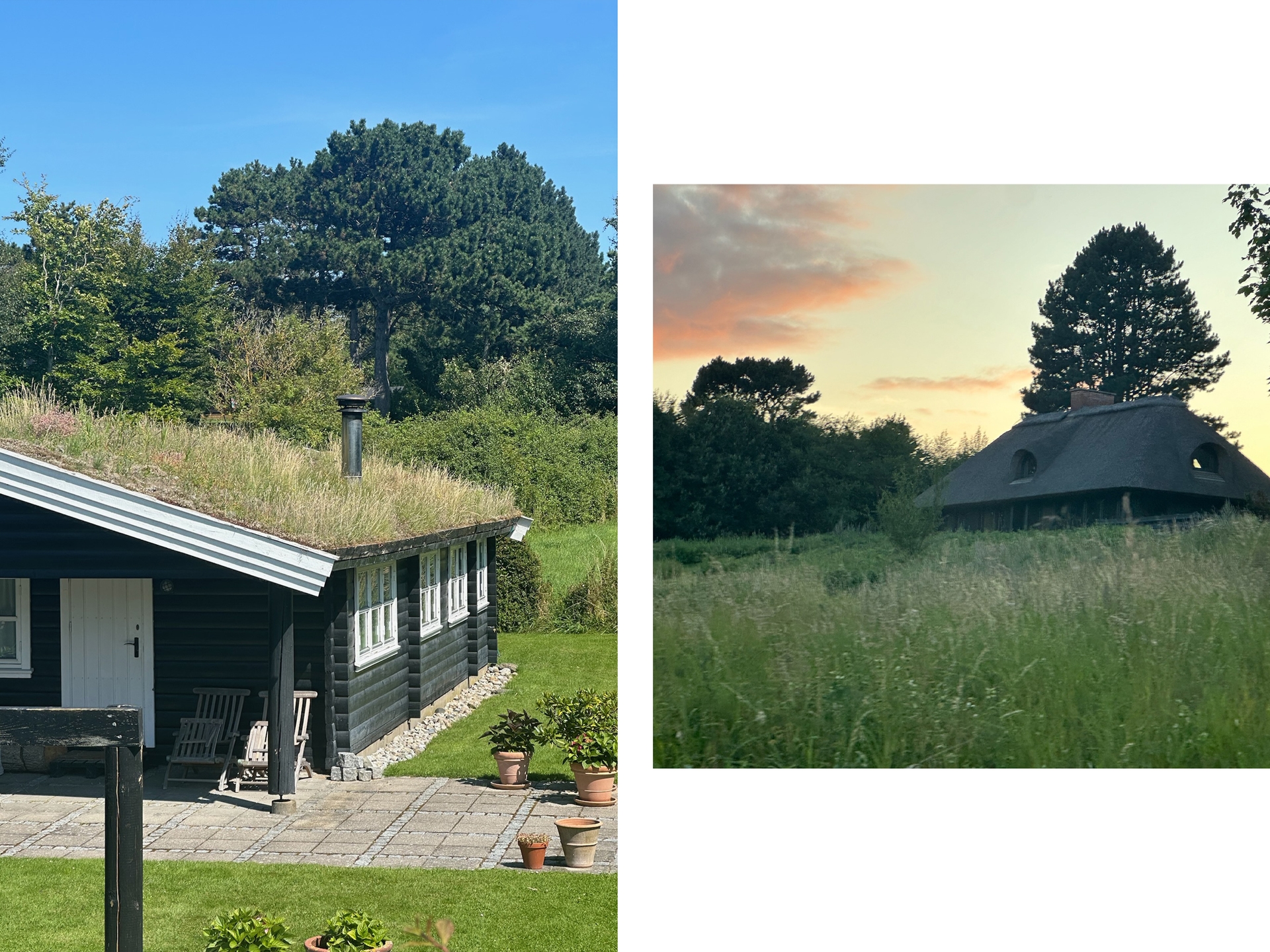 Starr in Denmark