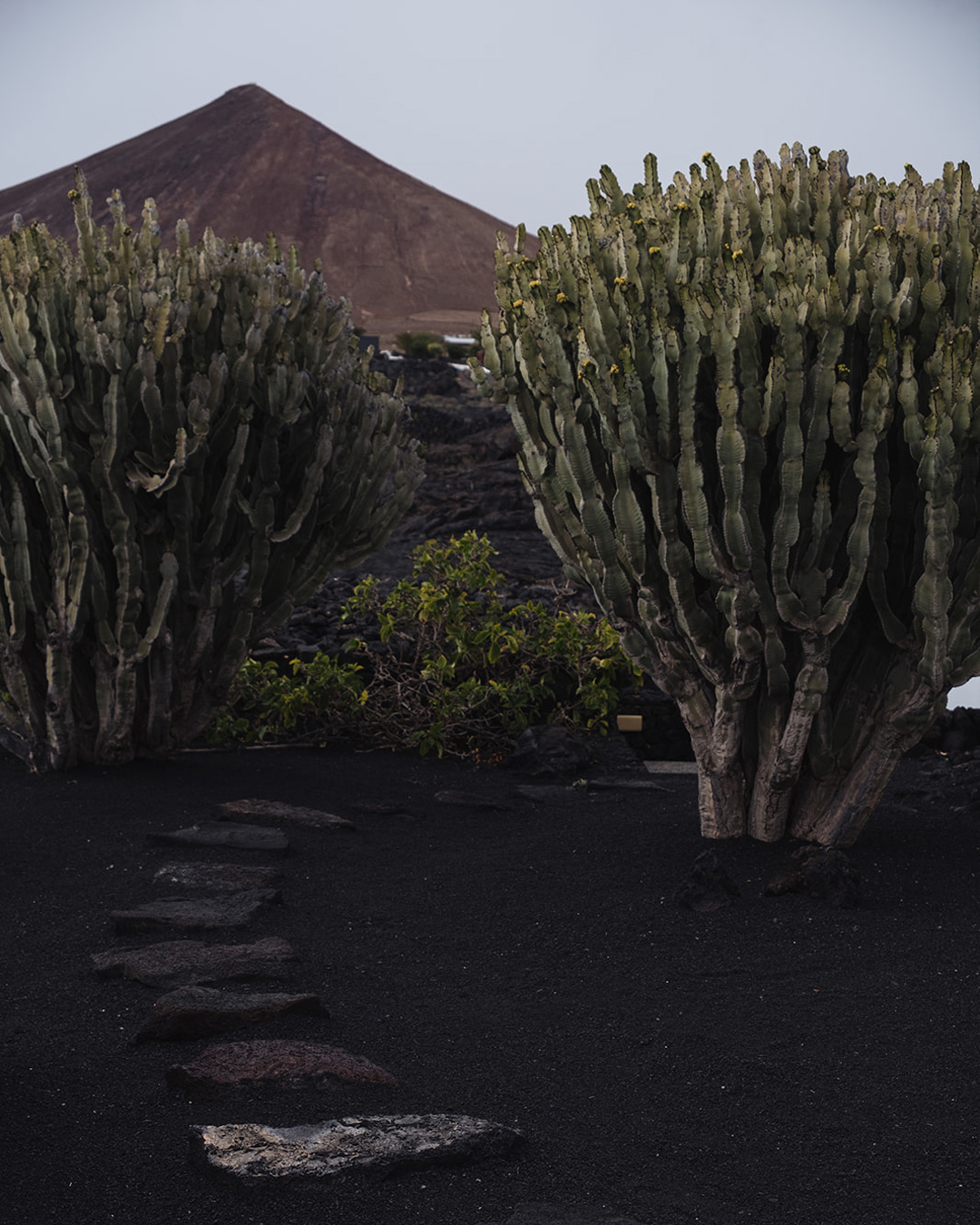 Lanzarote Landscape