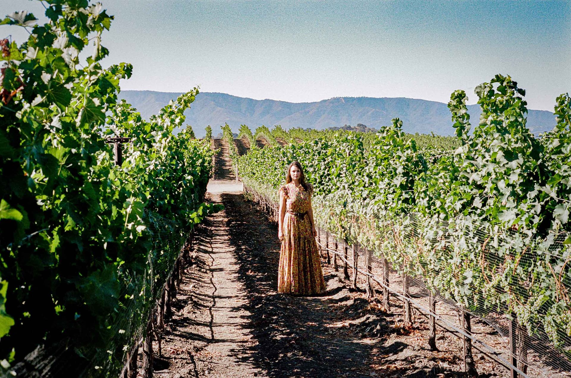 Aly Michalka wears a dress and stands in a vineyard