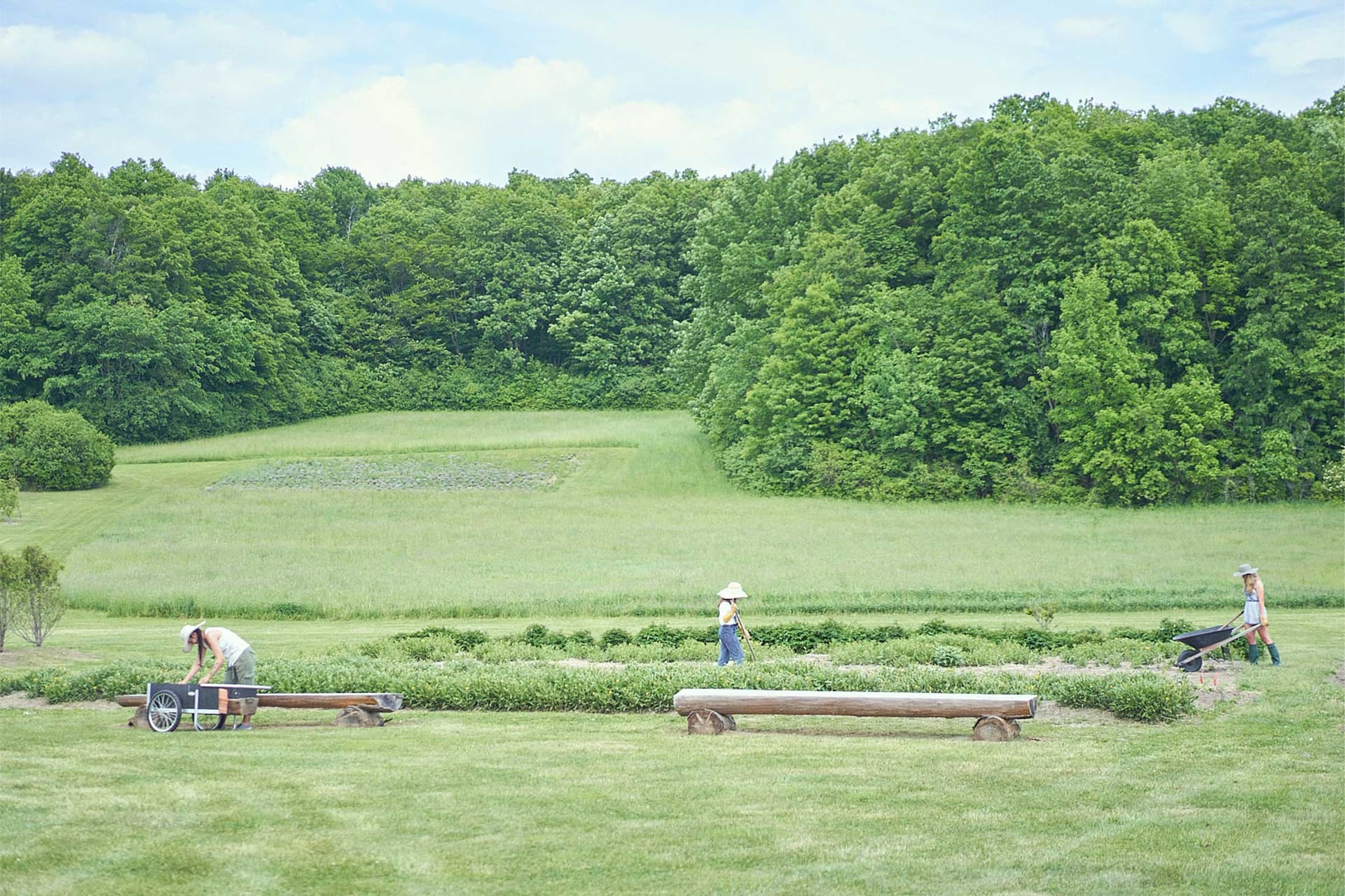 A green field