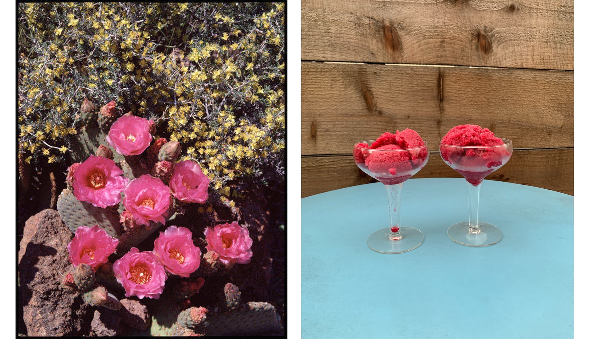 Two images. The first is of a bouquet of pink flowers. The second is two scoops of red dessert.