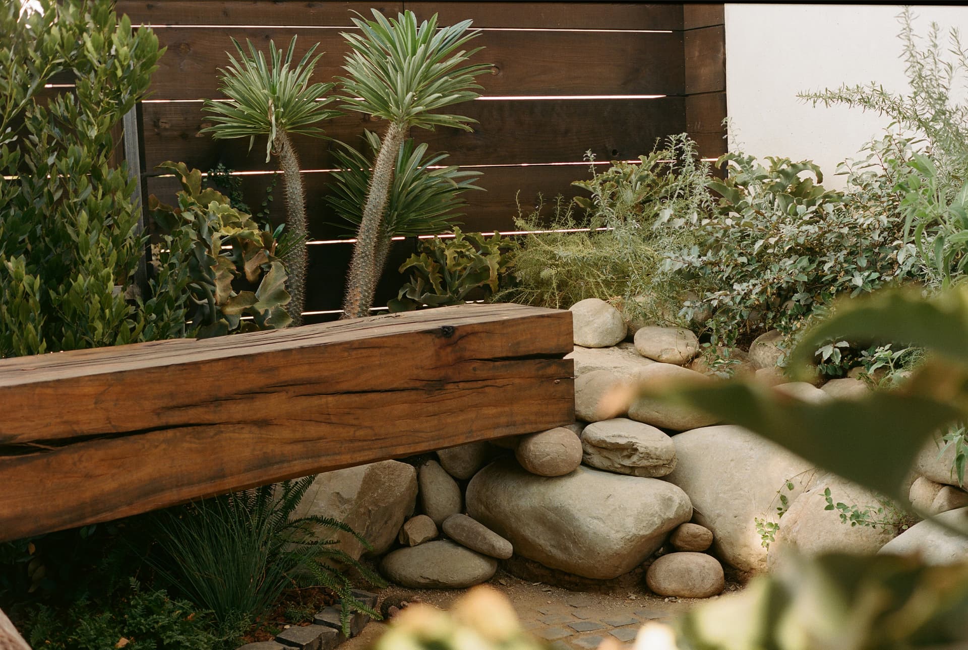 A landscaped yard